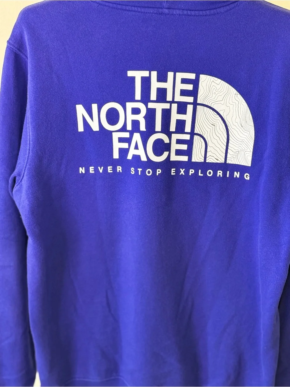 The North Face Men's Deep Purple Hoodie with White Logo